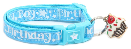 Birthday Boy Breakaway Cat Collar-20