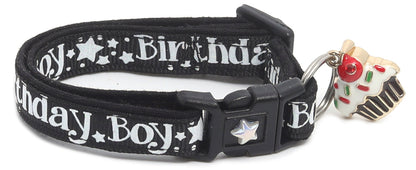 Birthday Boy Breakaway Cat Collar-21