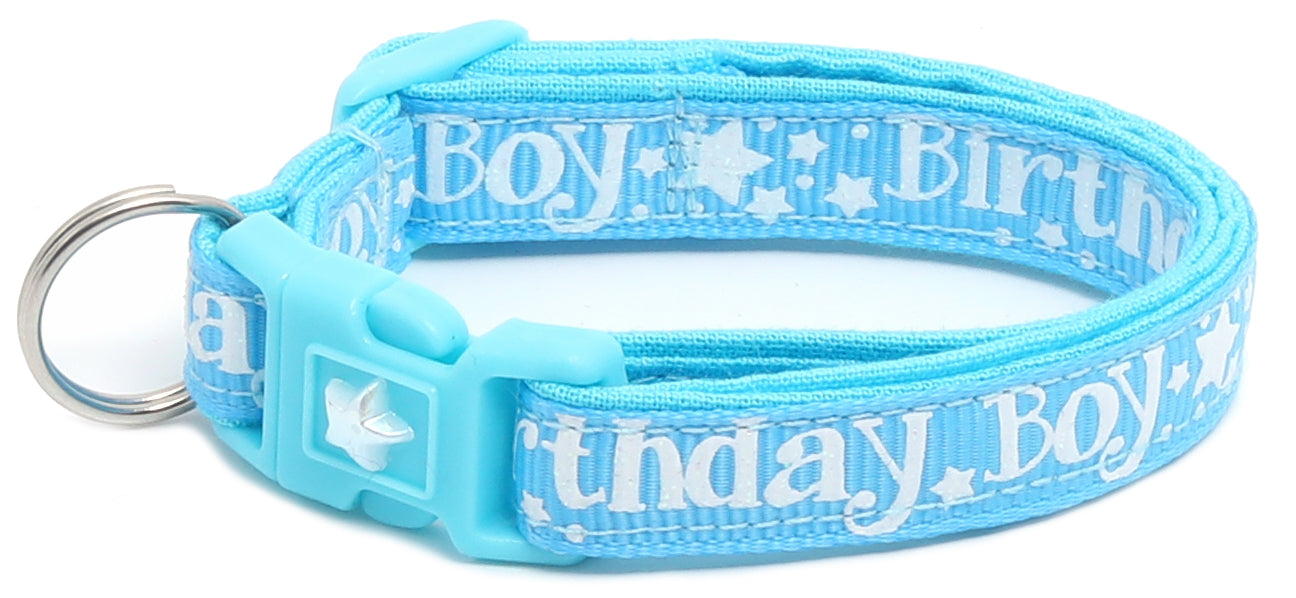 Birthday Boy Breakaway Cat Collar-32