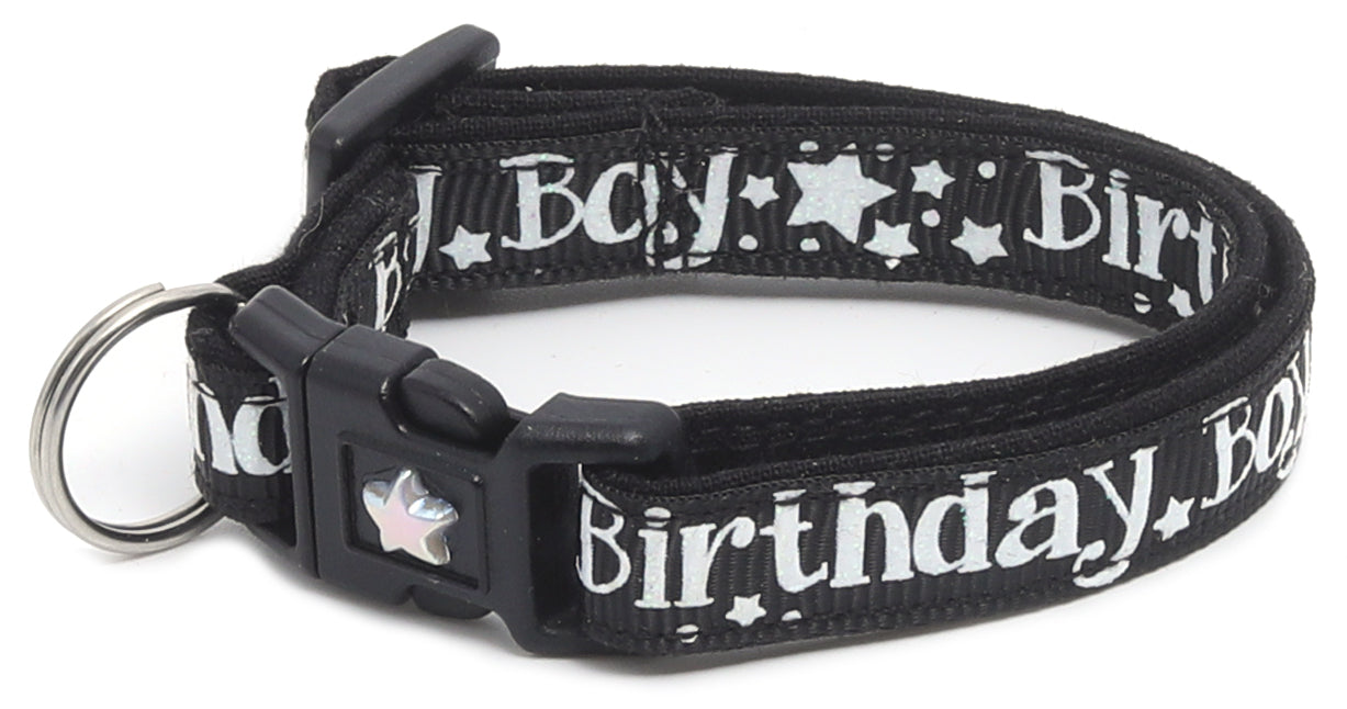 Birthday Boy Breakaway Cat Collar-33