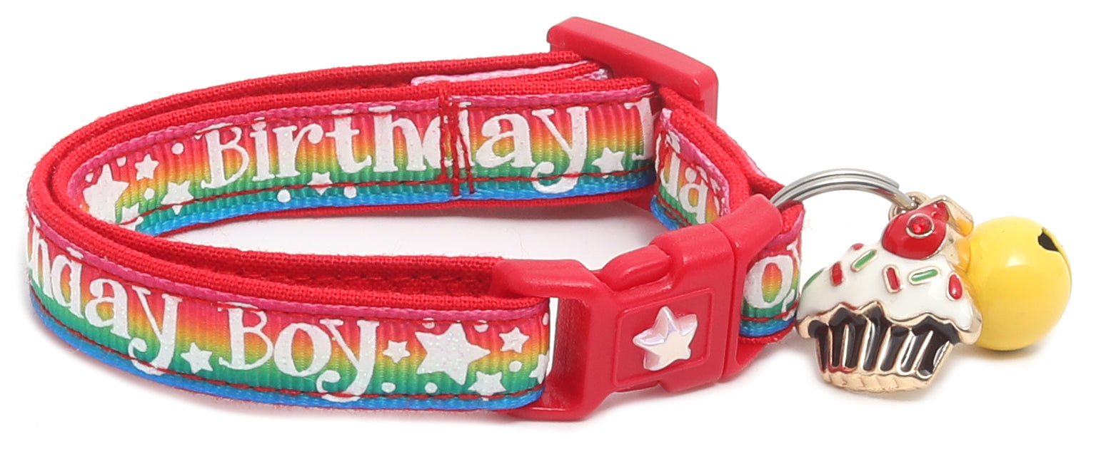 Birthday Boy Breakaway Cat Collar-30