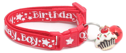 Birthday Boy Breakaway Cat Collar-28
