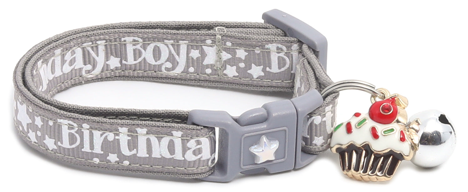 Birthday Boy Breakaway Cat Collar-31