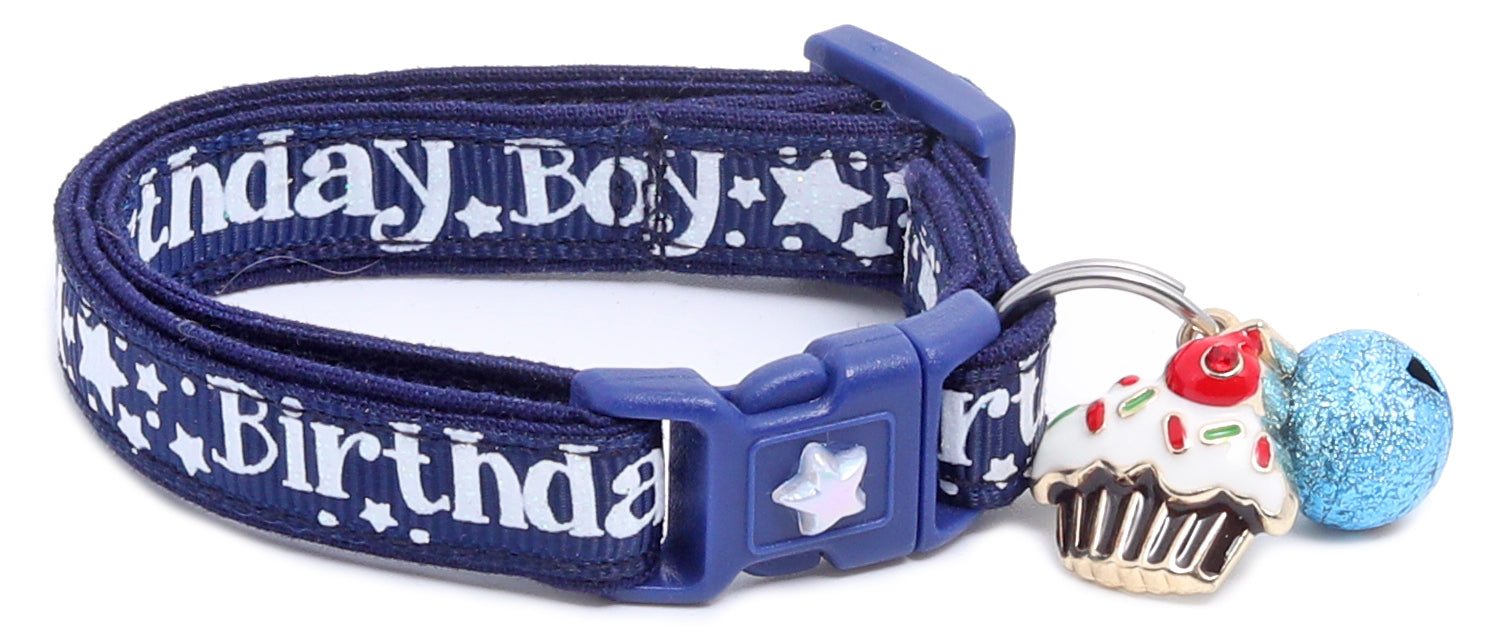 Birthday Boy Breakaway Cat Collar-29