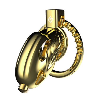 LOCKINK Sevanda Outlaw Urethral Sounding Male Chastity Cage-5