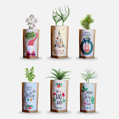 Christmas Greetings Tree Gift Pack, We Plant 60 More Trees-0