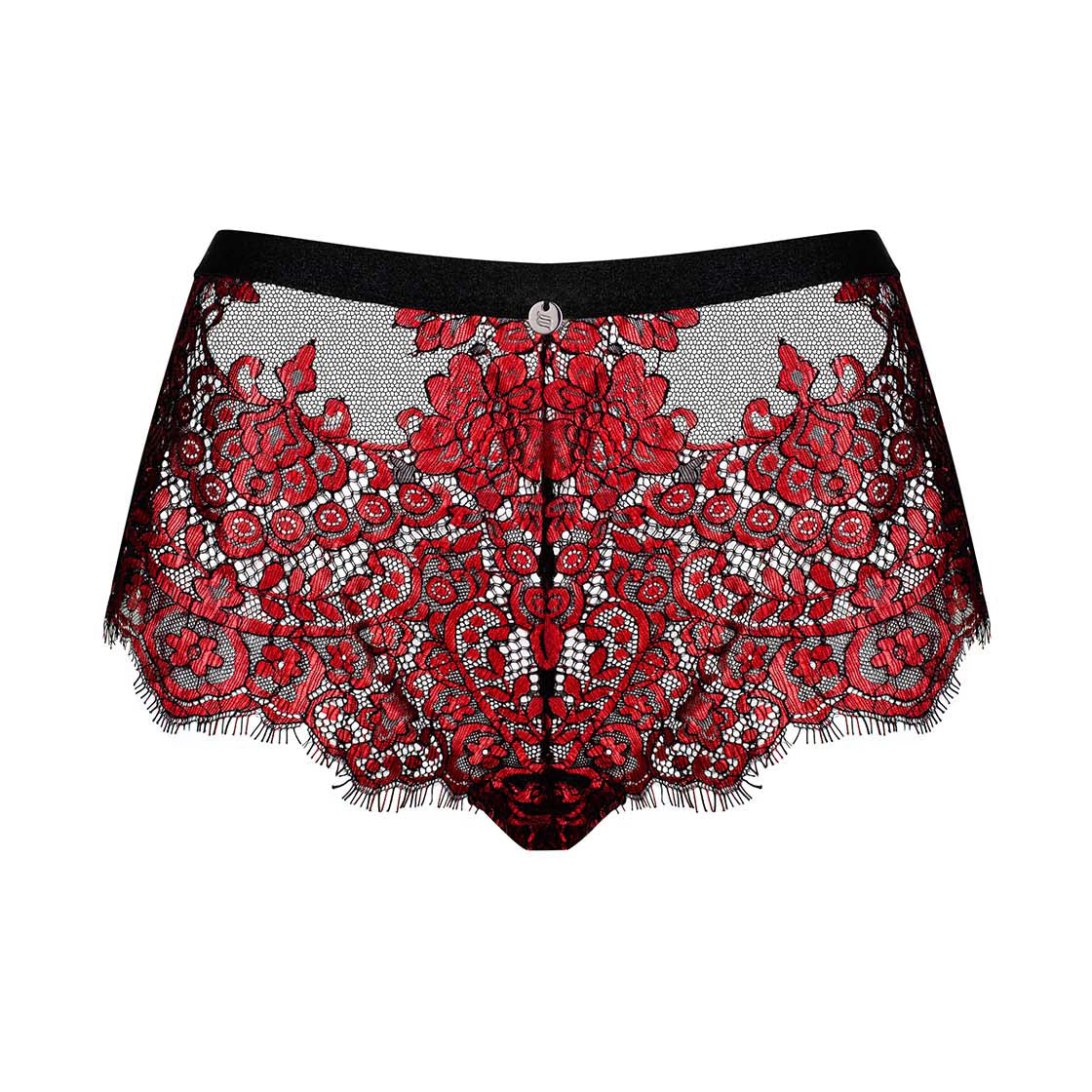 Sheer Seductive Lace Shorties Panty Obsessive Redessia-4
