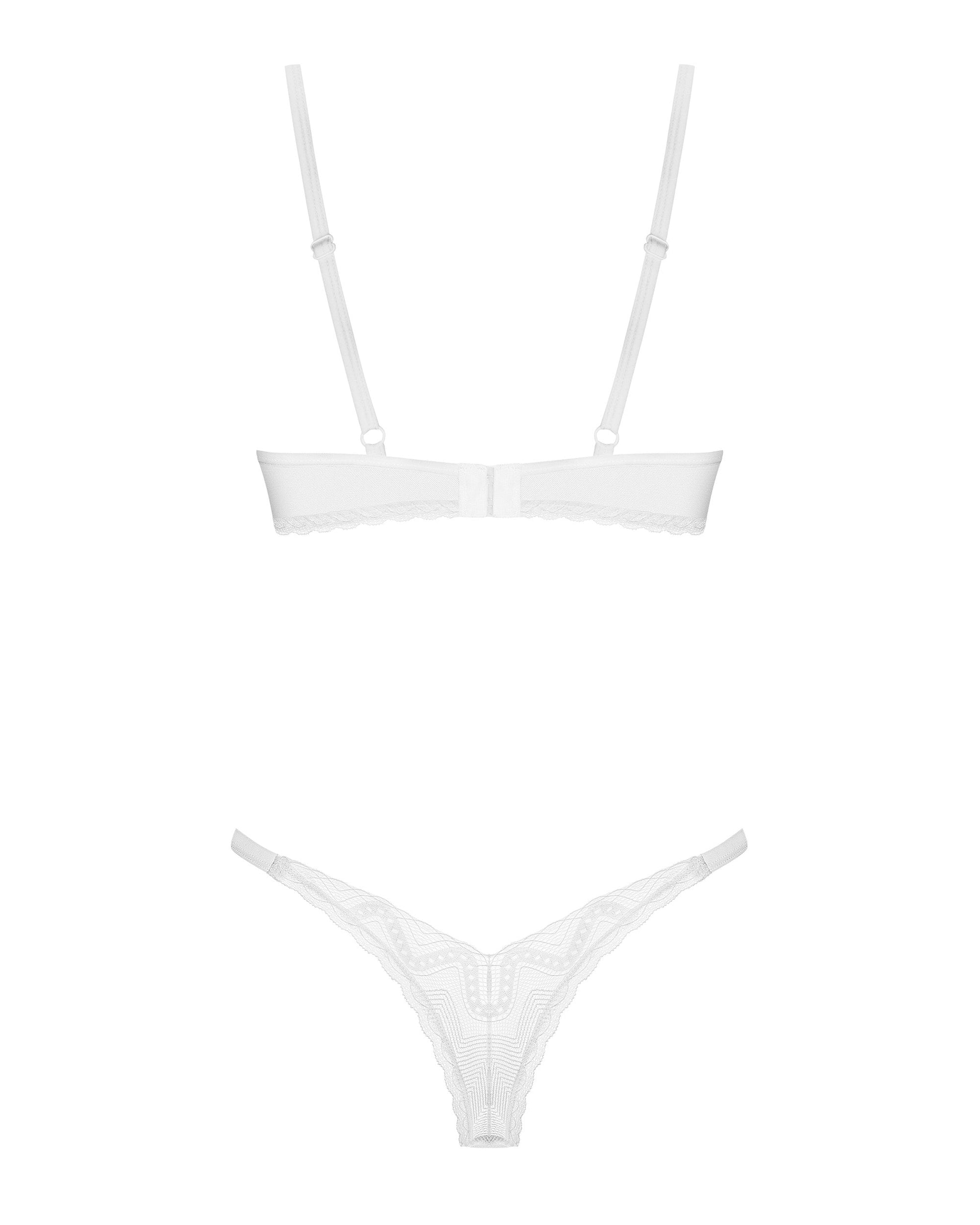 Sexy Sheer Demi Bra & Thong Panty Obsessive Alissium-4