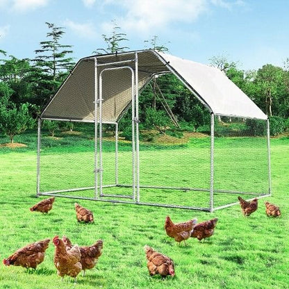 9.5 x 6.5 Ft Large Walk in Chicken Run Cage-1