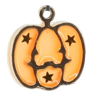 Halloween and Thanksgiving Charms-20