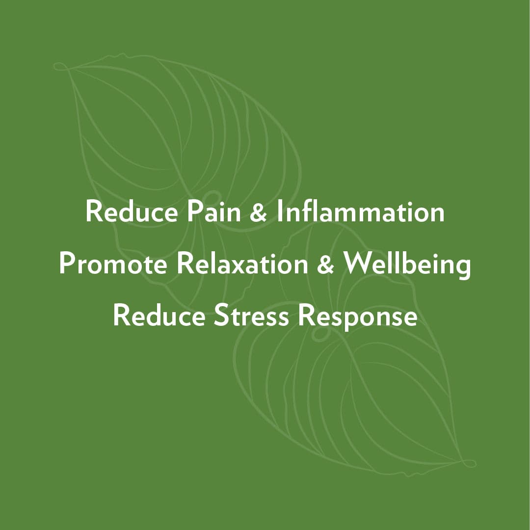 Ease: Hawaiian Kava Gummies by Rosebud Woman-2