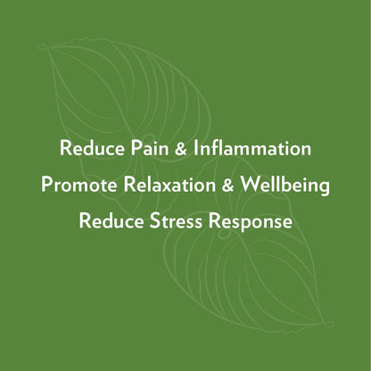 Ease: Hawaiian Kava Gummies by Rosebud Woman-2