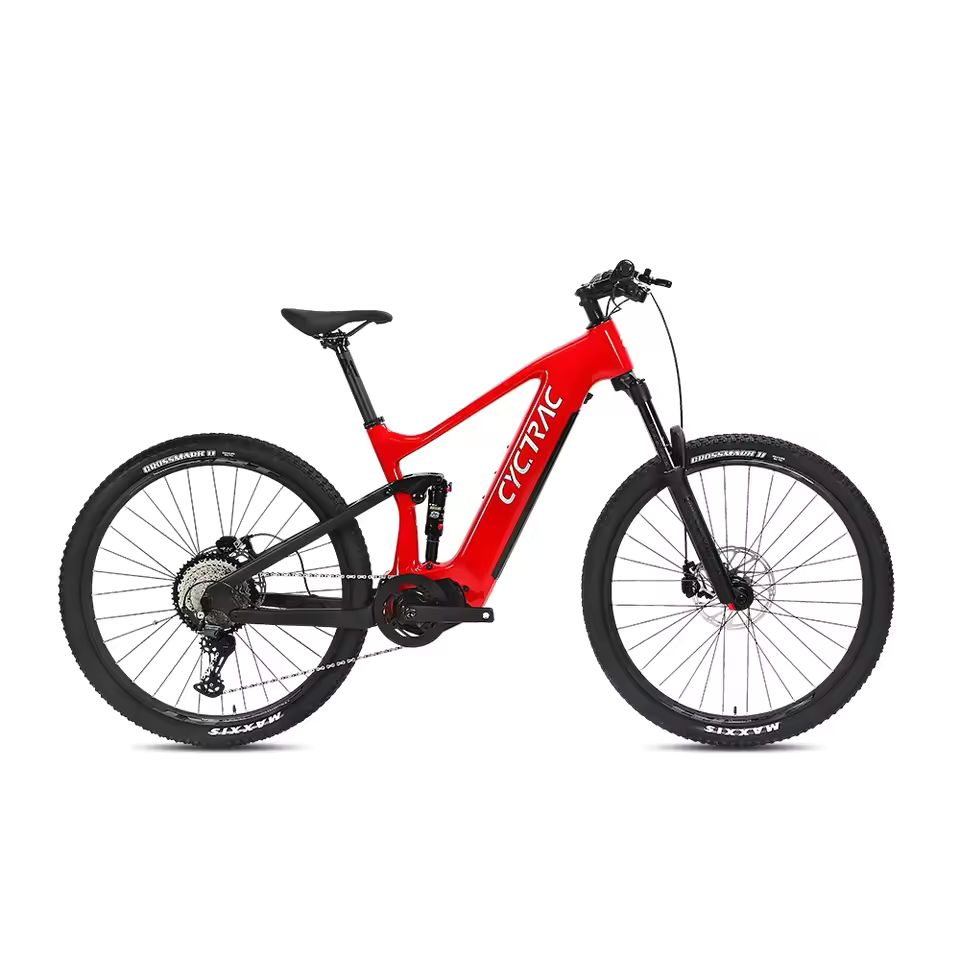EM10 2025 - ELECTRIC ALLOY BIKE-2
