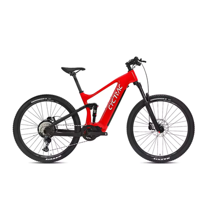 EM10 2025 - ELECTRIC ALLOY BIKE-2
