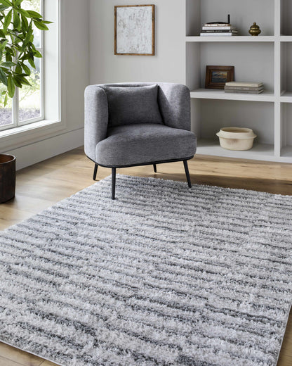 Anevay Dark Gray Area Rug-0