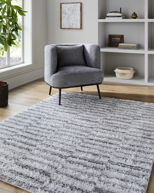 Anevay Dark Gray Area Rug-0