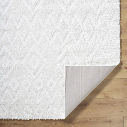 Hoshi Area Rug-4