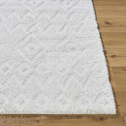 Hoshi Area Rug-3