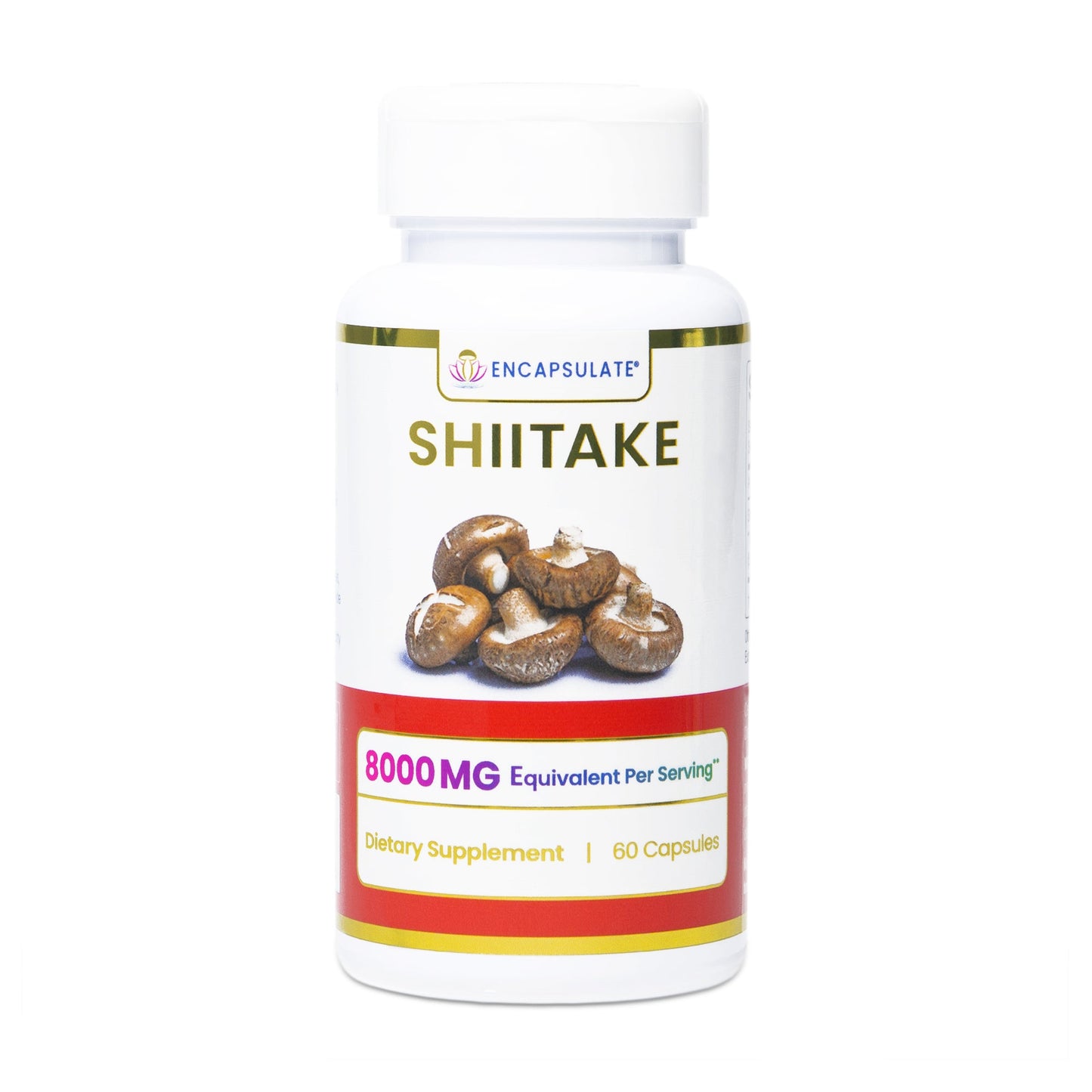 Encapsulate Shiitake Mushroom 8:1-0