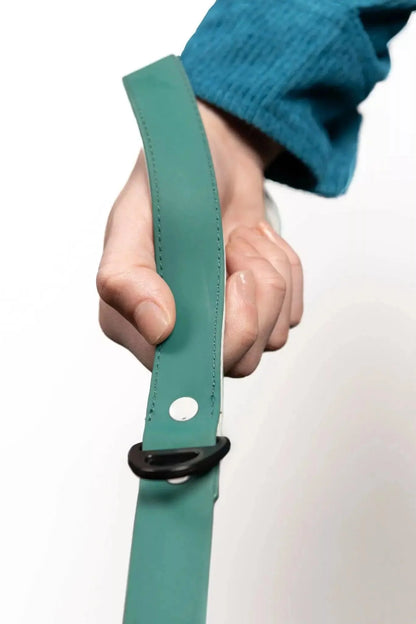 Siberian Spruce Waterproof Dog Leash-2