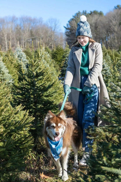Siberian Spruce Waterproof Dog Leash-3
