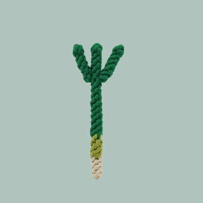 Handmade Scallion Rope Toy-1