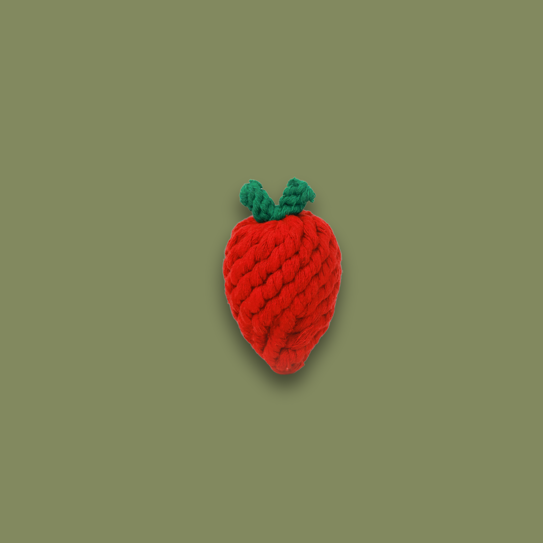 Handmade Strawberry Rope Toy-1