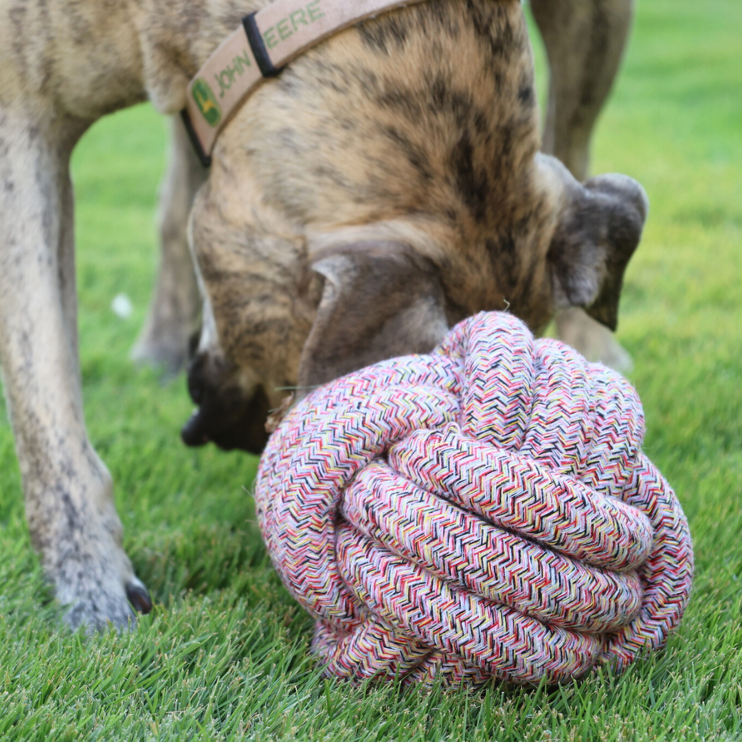 Bean Red Bliss Rope Ball Toy Collection-2