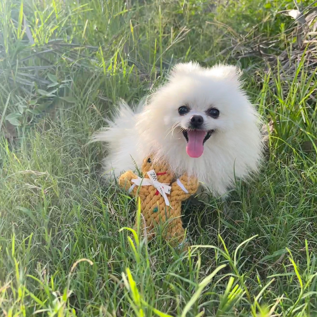 Gingerbread Man Rope Toy-2