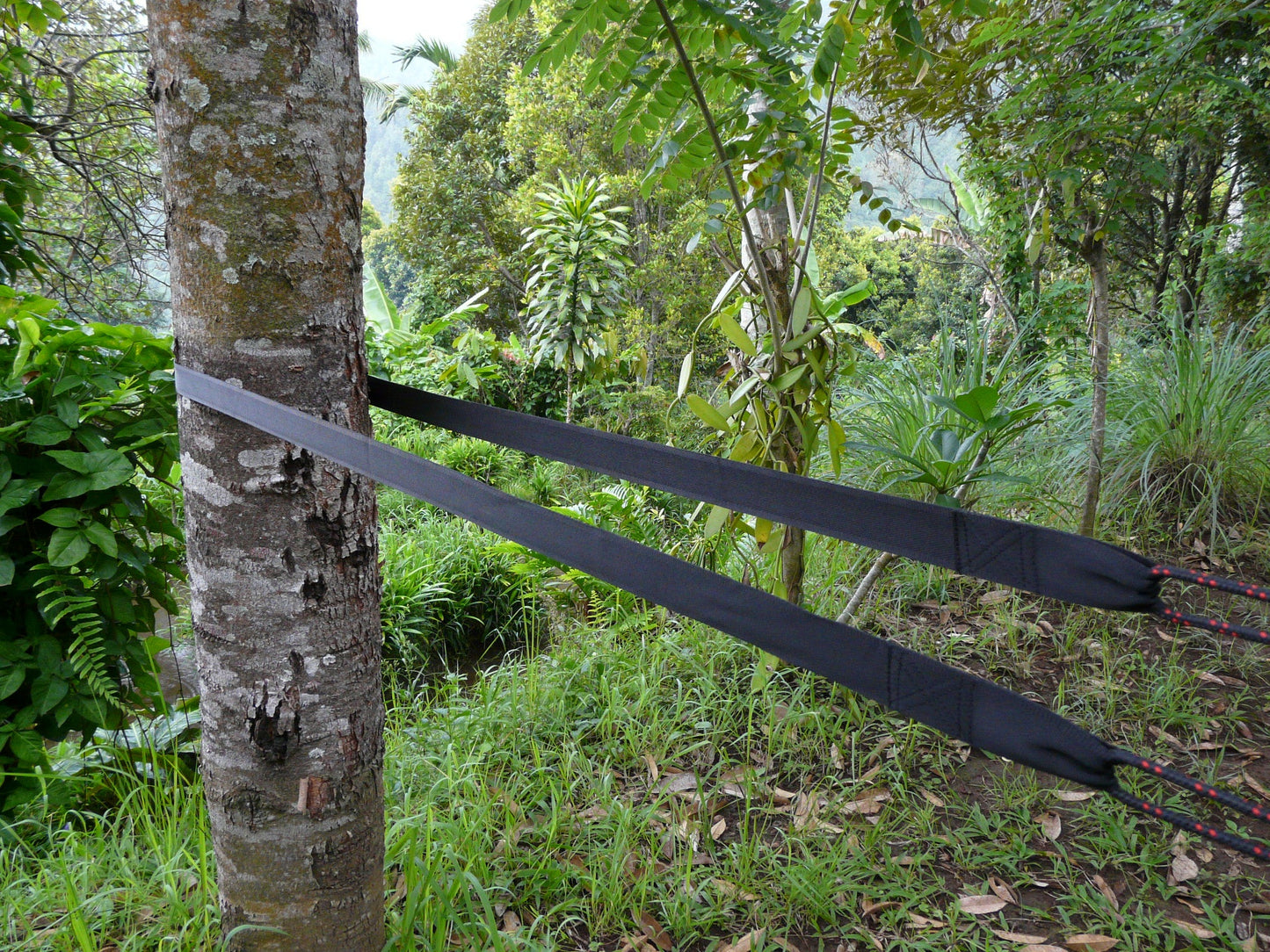 Extra Long Tree Straps-2