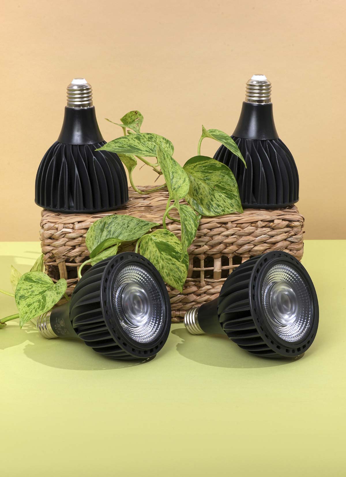 Greenfit™ Kit (Vita 4-Pack)-2