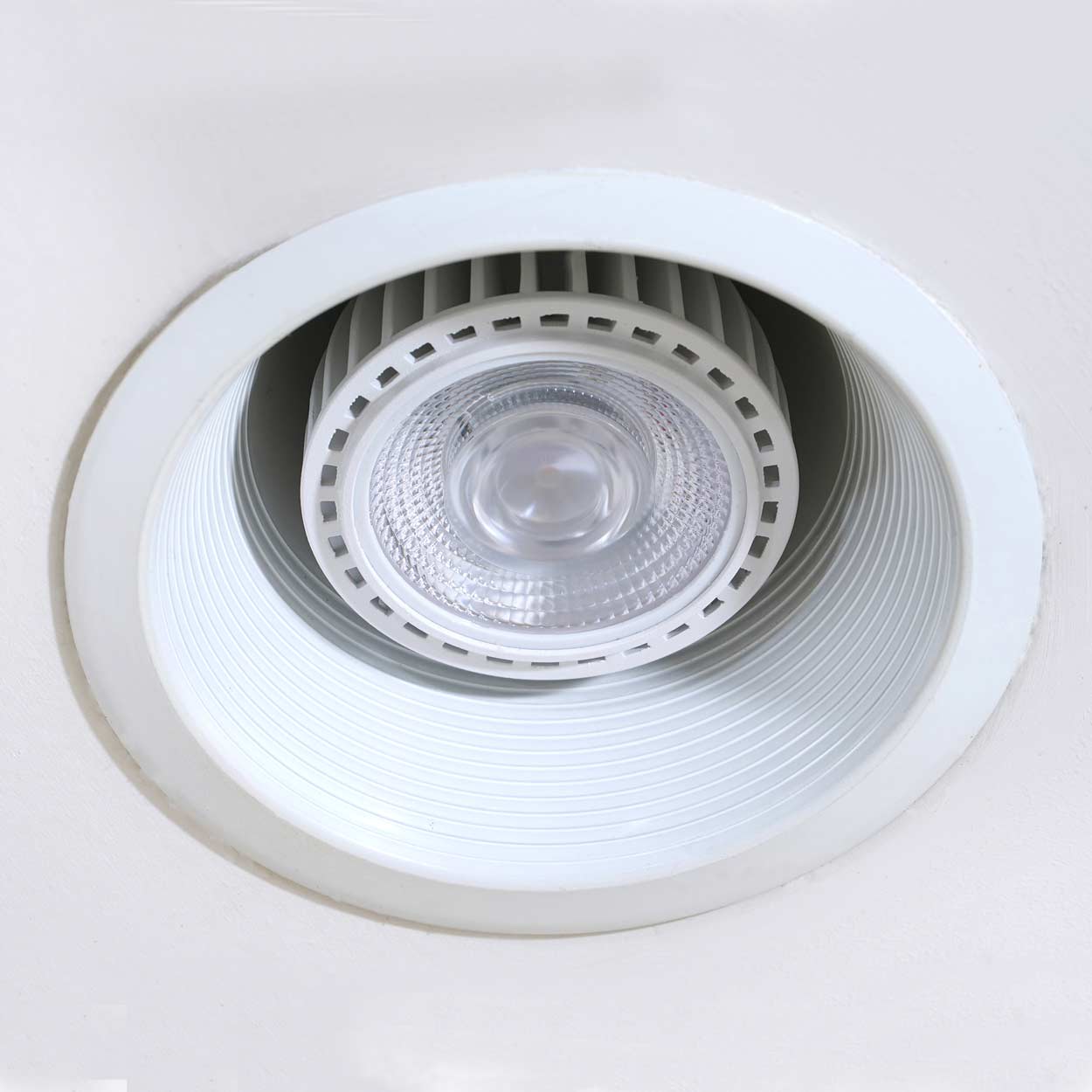 Greenfit™ Kit (Vita 4-Pack)-3