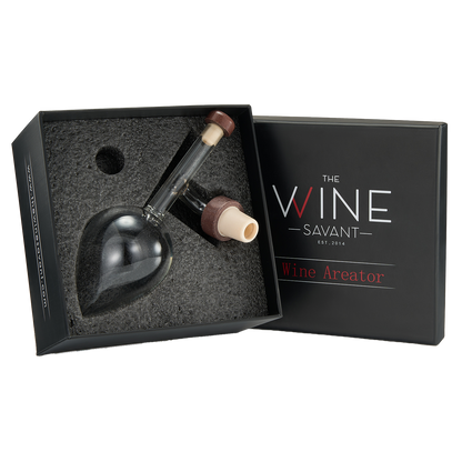 Italian Wine Aerator Decanter, Aerator Pourer, Red & White In Bottle Aerators, Makes Your Wines Taste Better, Italian Design Decanter, Whiskey & Spirits Gifts, 2x5 Inches Areadivino Aerator Clear-0