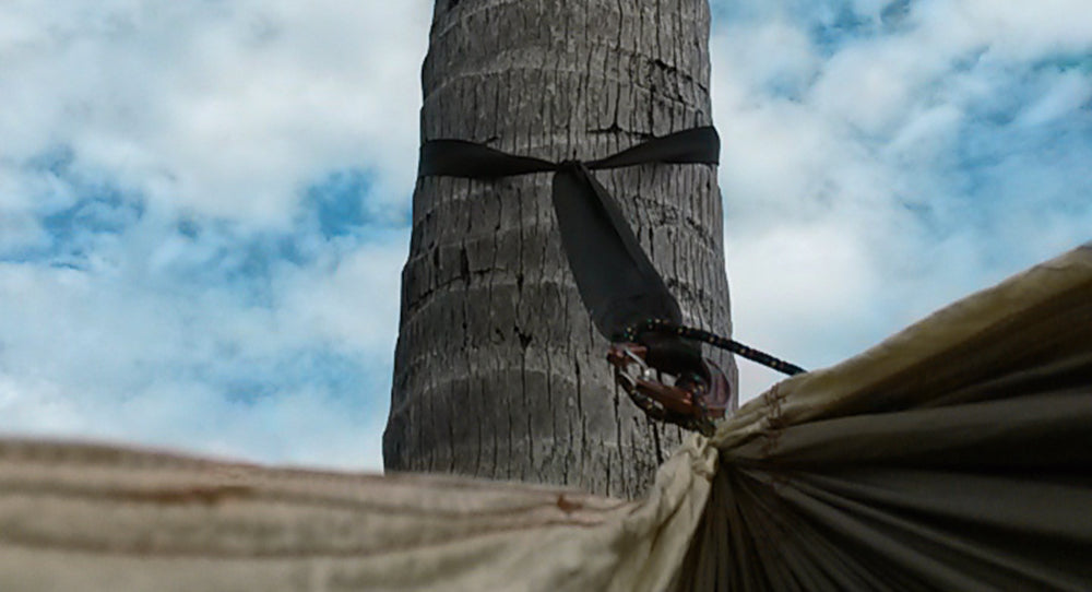 Extra Long Tree Straps-3