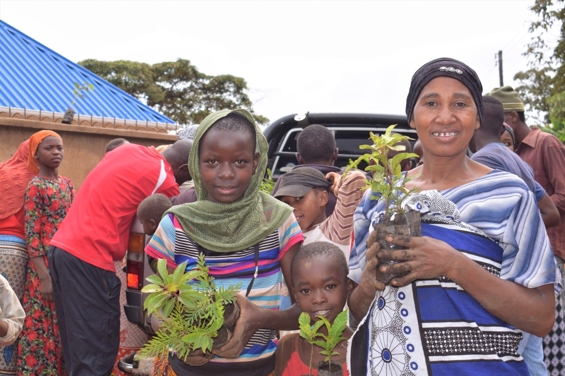 You Plant We Plant Pack of 3 Tree Kits, We Plant 30 More Trees-3