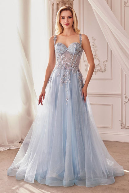 Embellished A-Line Tulle Ball Gown-0