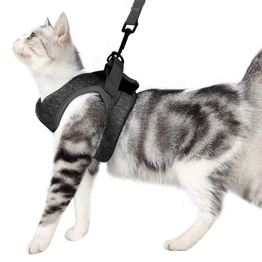 Adventure Cat Leash Vest-0