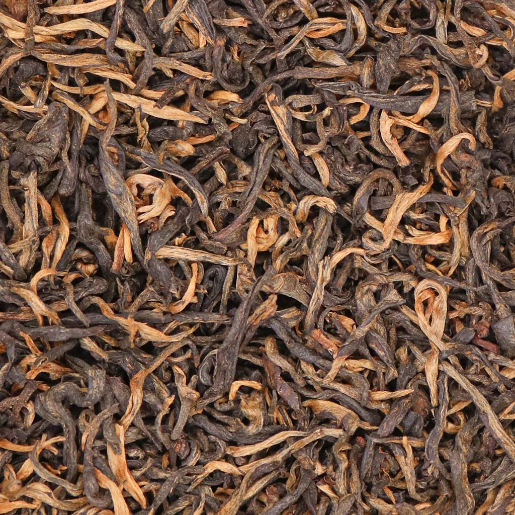 Ancient Forest Minla-1