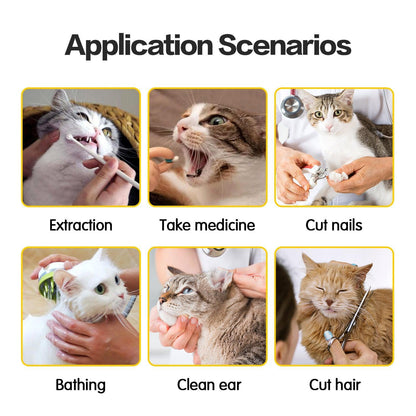 Anti-Scratch And Bite Cat Travel Bag With Double Lining - Stylish And Secure Pet Carrier-3