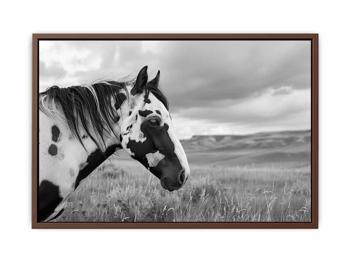 Horse Black & white Photography Canvas Art Print-6