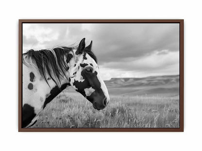 Horse Black & white Photography Canvas Art Print-6