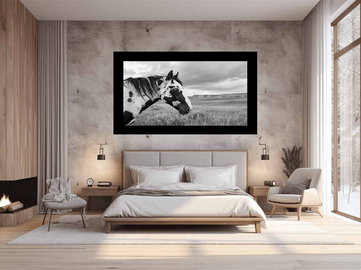 Horse Black & white Photography Canvas Art Print-1