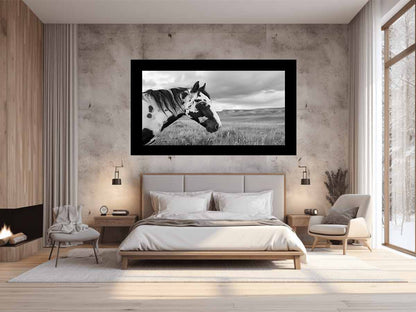 Horse Black & white Photography Canvas Art Print-1