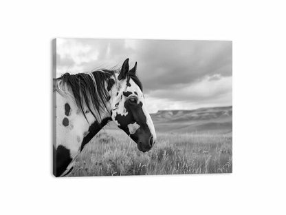 Horse Black & white Photography Canvas Art Print-3