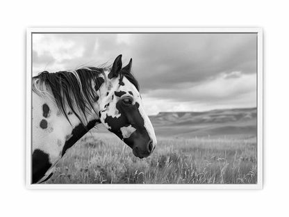 Horse Black & white Photography Canvas Art Print-5