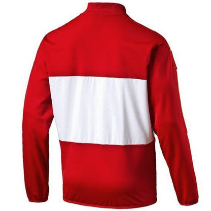 Austria national team presentation Soccer jacket 2016/17 - Puma-1