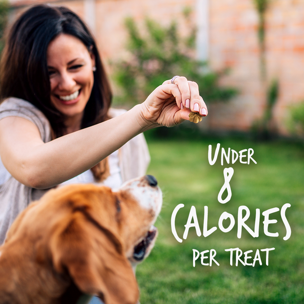 Fruitables Pumpkin & Blueberry Mix Dog Treats (8x7 Oz)-2