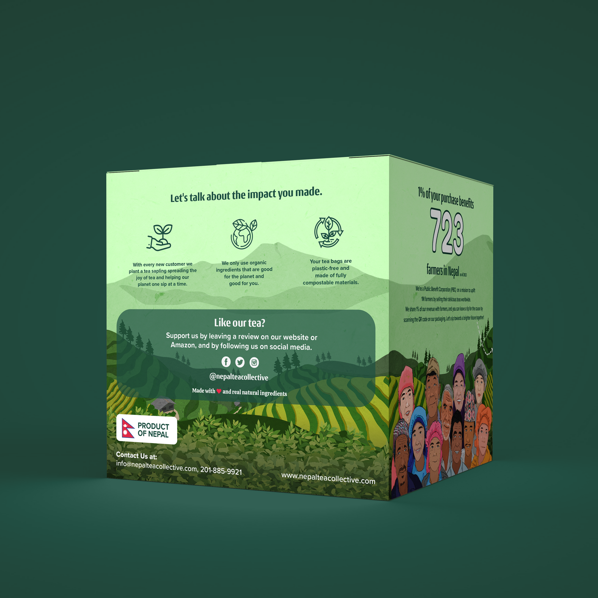 Himalayan Mist (Organic Green Tea) - Tea Bags (Set of 6)  | Wholesale-1