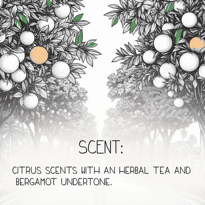 Citrus Sunday Natural Body Lotion Made With Sensitive Skin Fragrance Oil  | Organic Unrefined African Shea Butter | Organic Sweet Almond Oil | Organic Avocado Oil-2