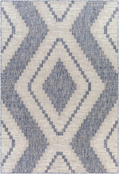 McCrory Pale Blue Flat Rug-5